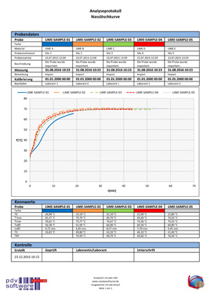 Beispielhaftes individuelles Analyseprotokoll